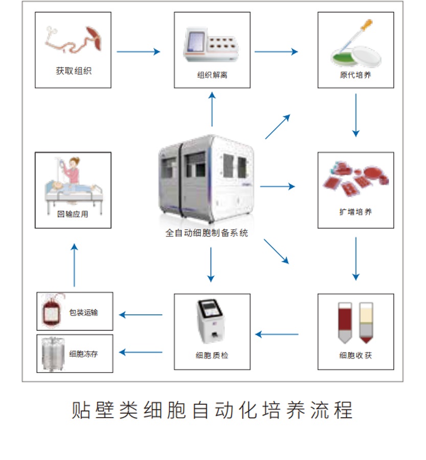 全自动细胞培养制备系统